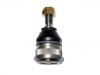 Ball Joint:352819