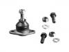 Ball Joint:310816