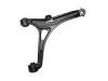 Control Arm:96070145
